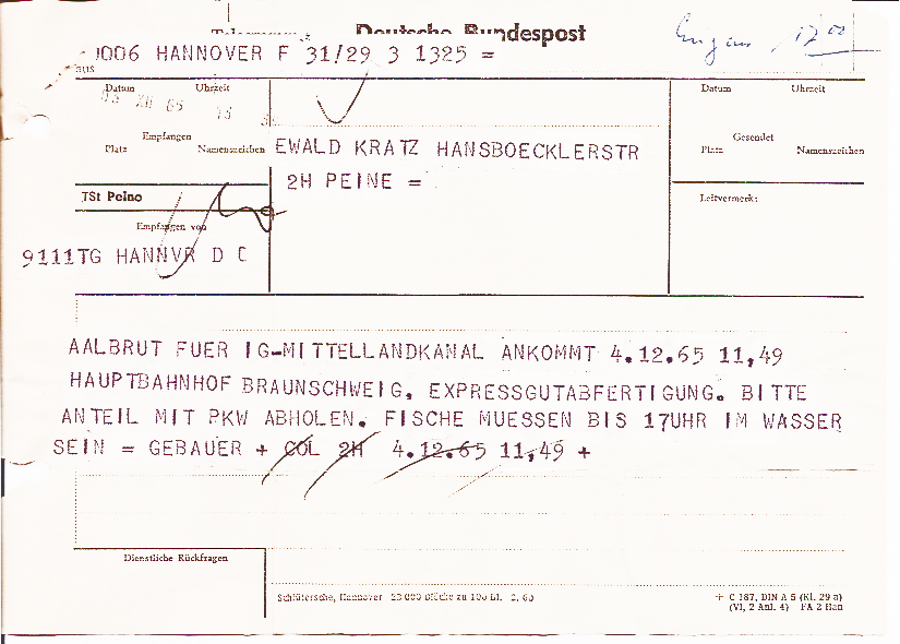 Telegramm Aalbesatz 1965